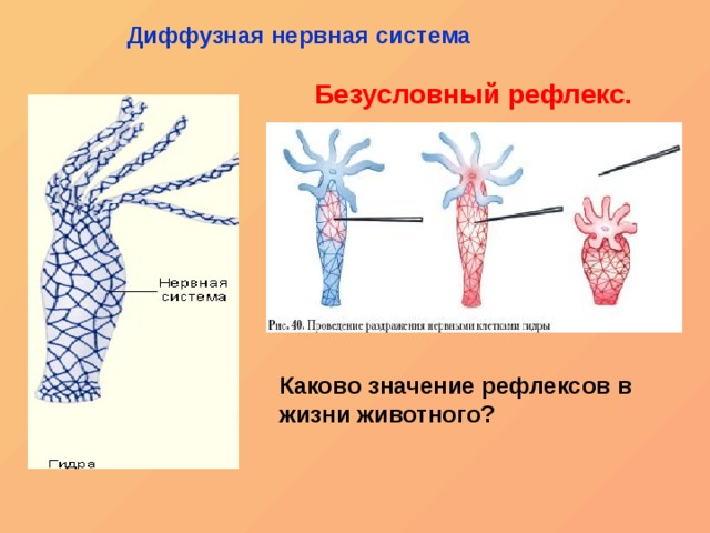 Kraken zerkalo официальный сайт