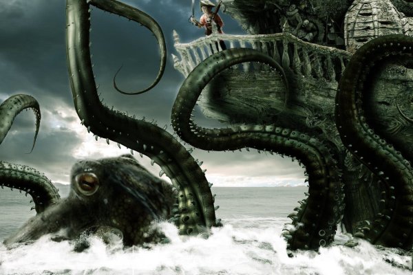 Как вывести деньги с kraken