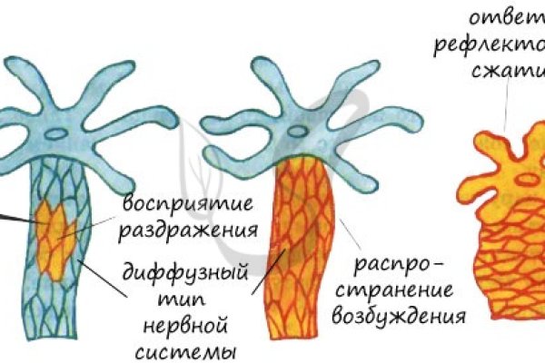 Кракен тор текст